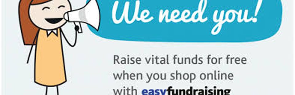 Easy fund raising logo